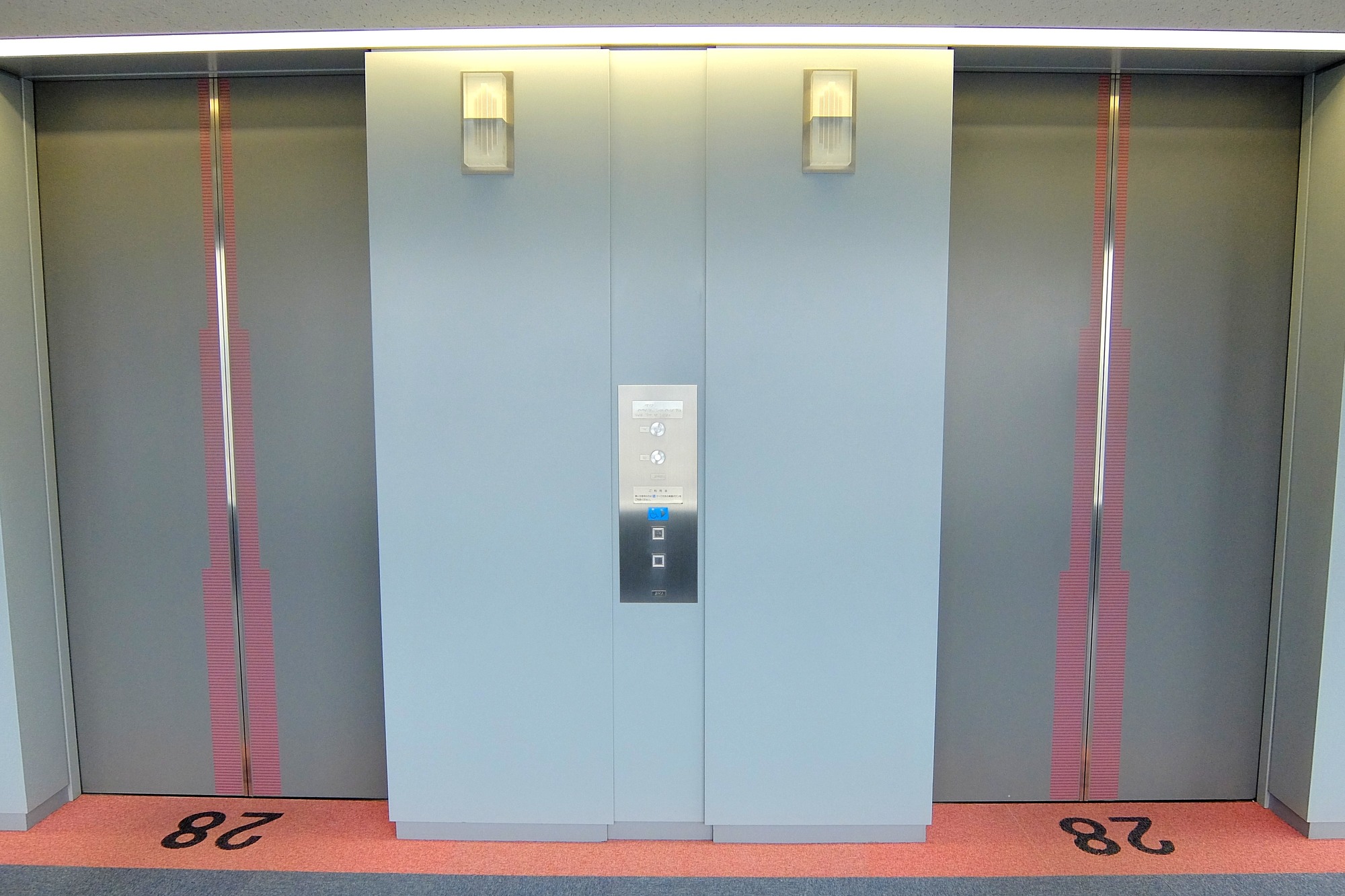 [最も好ましい] 犬 エレベーター リード 742865 犬 エレベーター リード 動画